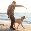 1Set 990Ft Range Dog Wireless Fence Remote Training Collar Ipx6 Waterproof Receiver