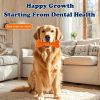 Dog Chew Toys Two-Pack Dog Toothbrush Care Cleaning Stick Toothbrush Chew Stick For Dog Dental Care