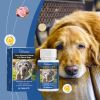 Trace Element Tablets For Senior Dogs Multimineral Supplement For Elderly Canines