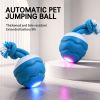 2026 New Interactive Dog Pull Toy, Stimulate Dog Intelligence & Keep Fit, Indoor & Outdoor Use For Medium Large Dogs, Dog Chew Toy With 3 Spare Ropes