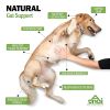 Oem Hot Sales Probiotics Chews For Pets Customized Shape For Digestive Health Pets Supplement Healthy Gut For Dogs