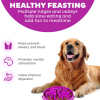 Hound Feeder Slo Bowl  Large 4 Cup Capacity, Slow Feeding, Medium To Large Dogs, Non Slip, Purple, Flower Pattern