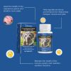 Trace Element Tablets For Senior Dogs Multimineral Supplement For Elderly Canines