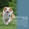 Dog Mineral Supplement Tablets, 80 Chewable Minerals Tablets For Pica, Appetite & Bone Health Support, Non-Gmo Human Grade Pet Vitamins