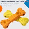 Dog Chew Toys Two-Pack Dog Toothbrush Care Cleaning Stick Toothbrush Chew Stick For Dog Dental Care
