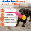 Best Pet Supplies Interactive Squeaky Dog Chew Toy, Ideal Dog Toys For Chewers, Small, Medium  Large Dogs, And Fetch Lovers