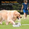 Dog Water Fountain Outdoor,No Electricity Step-On Activated Pet Sprinkler,Paw-Controlled Drinking Dispenser For Dogs