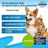 Kennel Cough Treatment Natural Infection Medicine For Dogs And Cats Respiratory Colds Cough Relief Collapsed Trachea And Cat Asthma Support