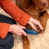 1Pc Dog Nail Grinder 2 Speeds Quiet Usb Rechargeable Pet Nail Grinder Professional Pet Nail Trimmer Cordless