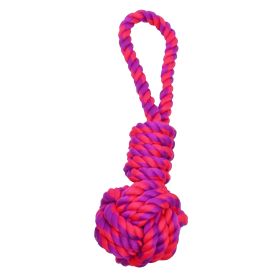 Amazing Pet 16.5" Loop Handle W/4.5" Ball Purple/Magenta