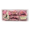 Birthday Girl Box