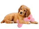 Ethical/Spot Soothers Warm Hug Bone 9"