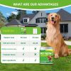 Pet Dental Powder - Freshens Breath, Protects Gums And Strengthens Teeth. An Essential For Daily Oral Care And General Dental Care.