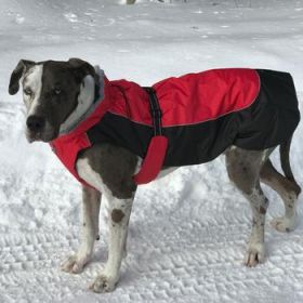 Alpine All-Weather Dog Coat - Red And Black (Variation: Medium)