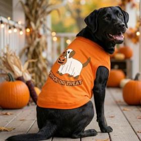 Trick Or Treat Pup Dog Shirt - Sunset Orange (Variation: Medium)
