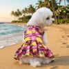 Tropical Sunset Dog Dress With Matching Leash