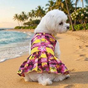 Tropical Sunset Dog Dress With Matching Leash (Variation: Large)