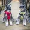 Venture Paw Pull Control Dog Harness - Aspen