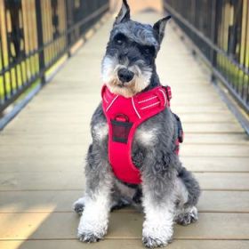 Venture Paw Pull Control Dog Harness - Crimson (Variation: X-Small)