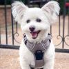 Venture Paw Pull Control Dog Harness - Dried Sage
