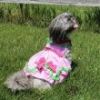 Watermelon Dog Harness Dress By Doggie Design