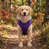Weekender Dog Sweatshirt Hoodie - Purple
