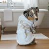 White Gold Crown Cotton Dog Bathrobe By Doggie Design