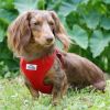 Wrap And Snap Choke Free Dog Harness By Doggie Design - Flame Red