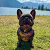 Wrap And Snap Choke Free Dog Harness By Doggie Design - Sunset Hibiscus