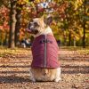Zip-Up Dog Puffer Vest - Burgundy