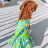 Pineapple Luau Dog Harness Dress With Matching Leash