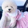 Polka Dot And Lace Dog Dress Set With Leash - Pink