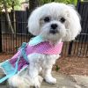 Polka Dot And Lace Dog Dress Set With Leash - Pink And Teal