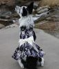 Purple Twilight Hawaiian Dog Dress With Matching Leash