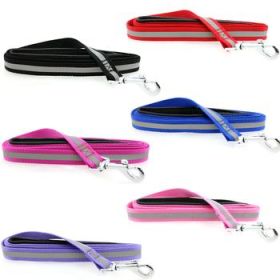 Reflective Nylon Leash With Soft Grip Handle - 3/4 In. Wide X 5 Ft. Long (Variation: Cobalt Blue)