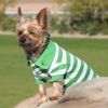 Striped Dog Polo - Greenery And White