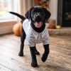 Halloween Camp Shirts - Mummy