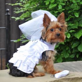 Dog Harness Wedding Dress With Veil And Matching Leash (Variation: XX-Small)
