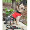 Gingerbread Fabric Harness With Matching Leash