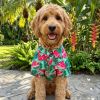 Hawaiian Camp Shirt - Juicy Watermelon