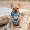 Wrap And Snap Choke Free Dog Harness By Doggie Design - Catching Waves